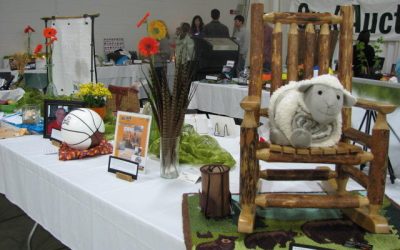 Auction Donation Deadline March 23rd