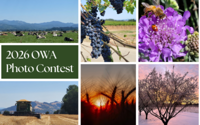 2026 Photo Contest